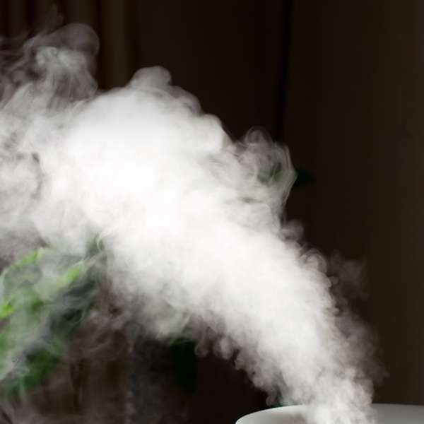 Benefits of an Entire-House Humidifier