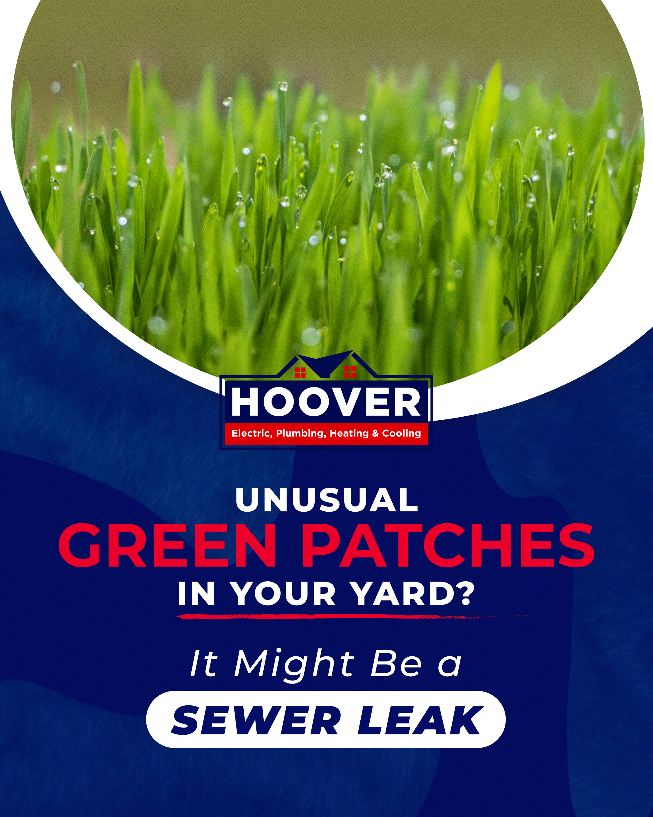 Causes of green patches in lawns