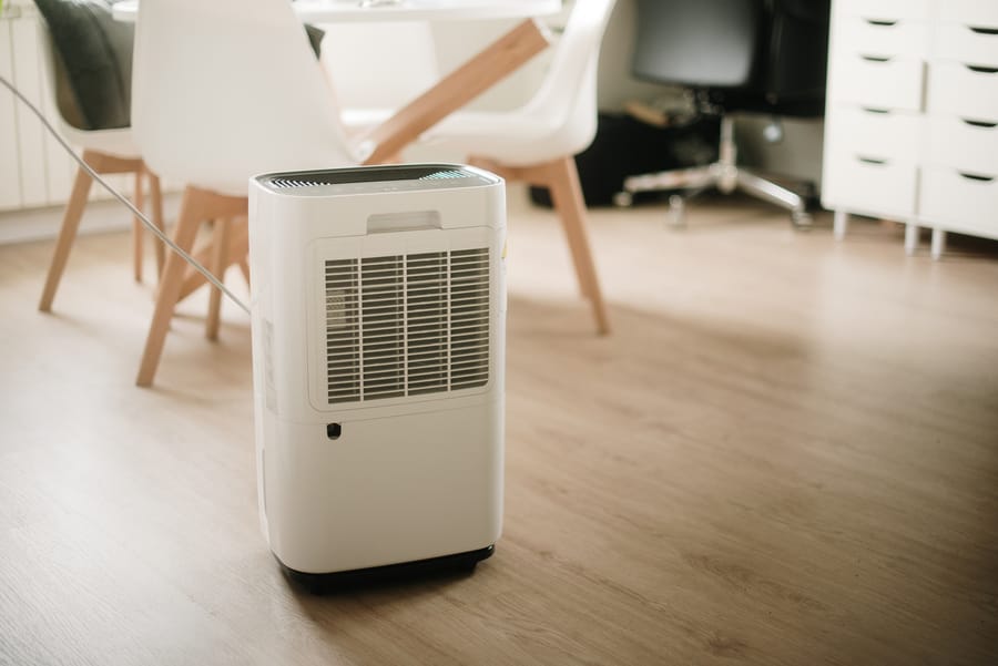 whole-home dehumidifier in living room
